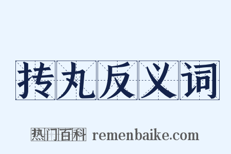 抟丸反义词是什么意思的图片